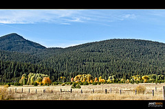 Autumn Landscape