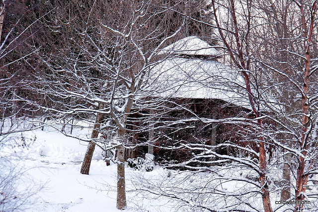 Gazebo through the oaks 5268499963 o