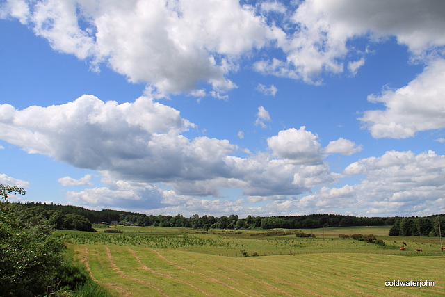 Perfect weather for hay-making 4754436967 o