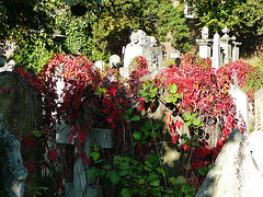 brompton cemetery, london