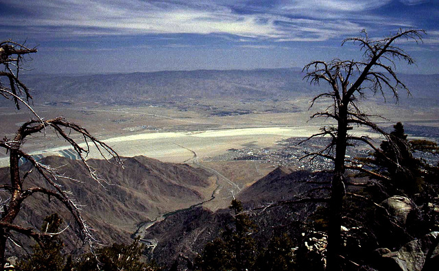 Palm Springs from San Jacinto Mountain