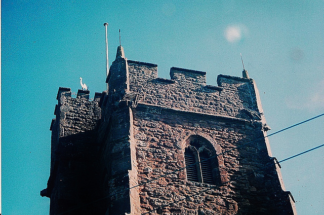 tower of st.george, bicknoller, somerset