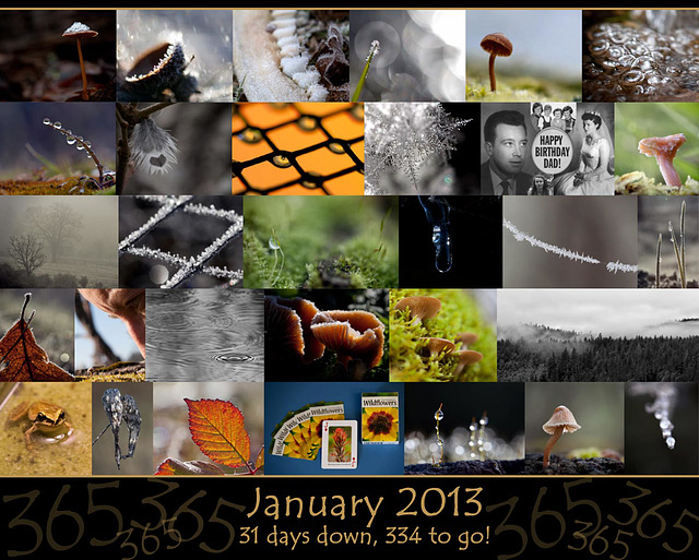 365: January Collage