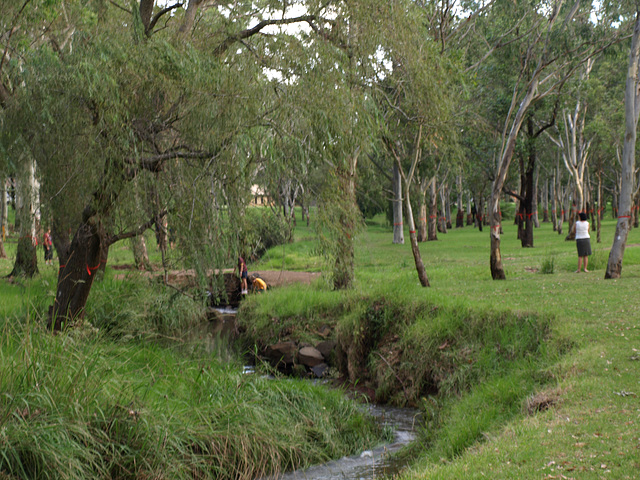 Garnet Lehmann Park 045