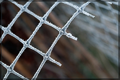 An Oldy but a Goody! Frosted Netting