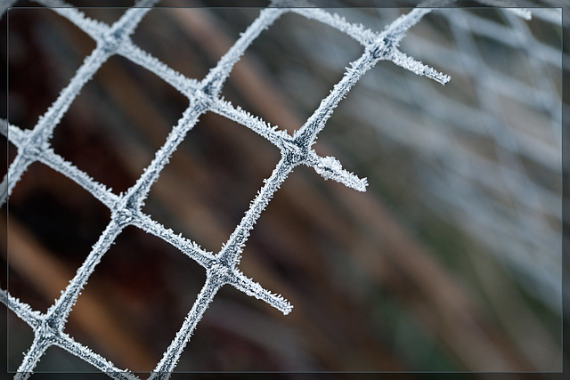 An Oldy but a Goody! Frosted Netting