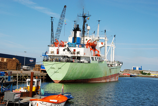 The harbour of IJmuiden: Cool Girl