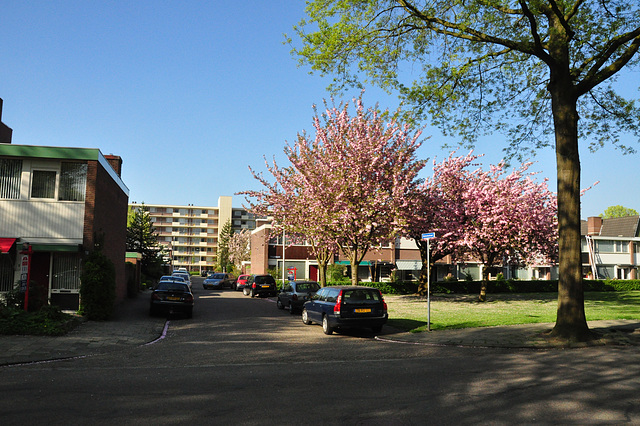 Spring in Tilburg