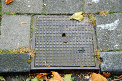 More drain covers: Trip