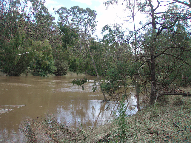 Yarra River after the flooding