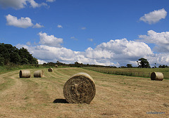 Hay-making - must be July again.