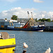 The harbour of IJmuiden: UK-1