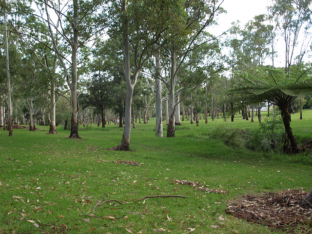 Garnet Lehmann Park 048