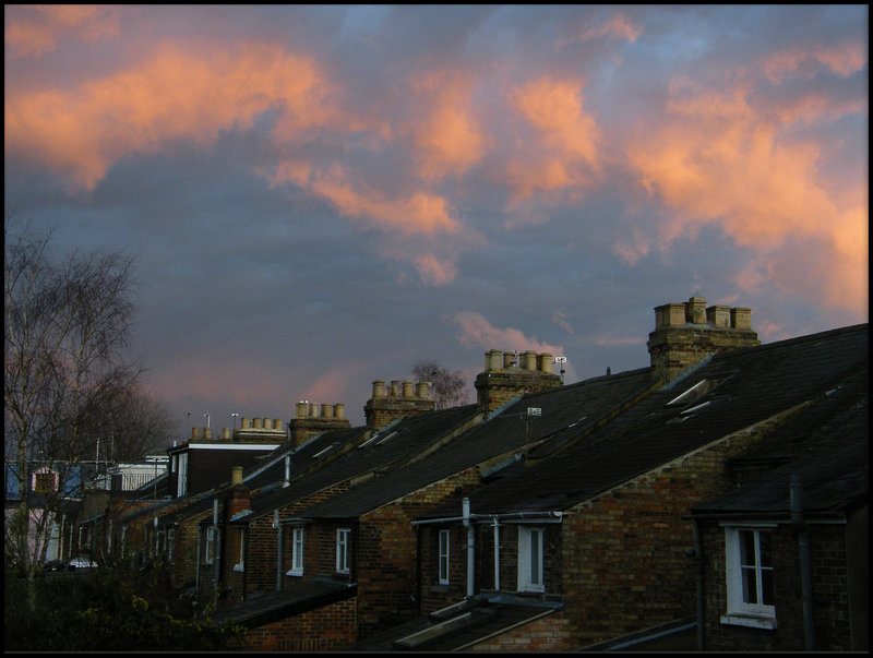 pink clouds in the east