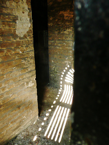 brompton cemetery, london,view inside the catacombs of 1838, built by baud.