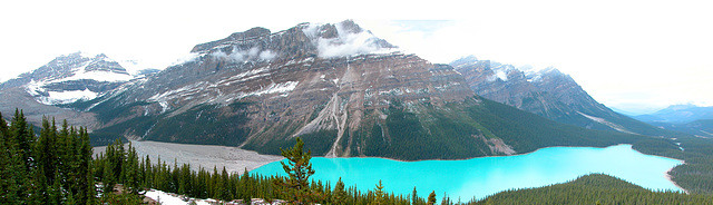 Peyto Lake in the Canadian Rocky Mountains