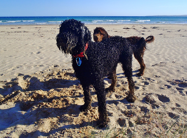 evening trip to the beach