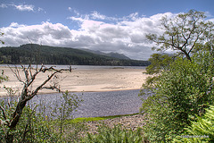 Loch Laggan on a July afternoon