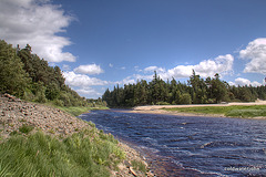 Loch Laggan on a July afternoon