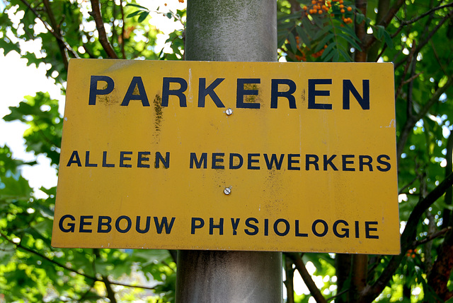 Some shots from around the new office: Old sign restricting parking to the inhabitants of the Physiology building