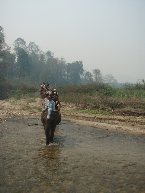 elephant ride