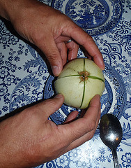 our first home grown melon