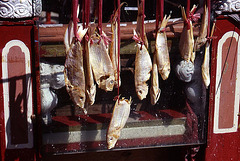 Dried Fish for Sale
