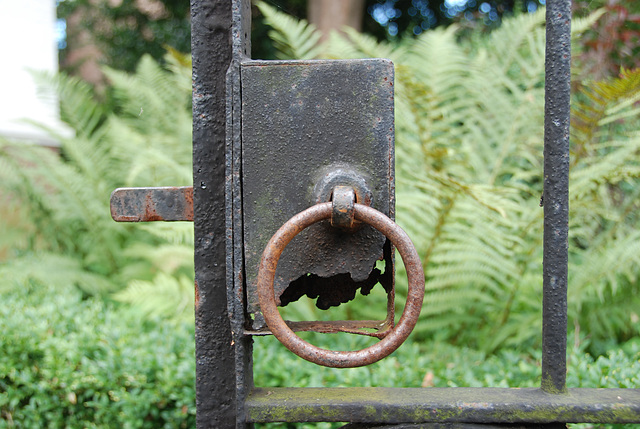 Rusty gate