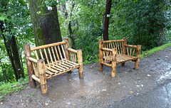 Bamboo Benches in the Batumi Botanical Gardens