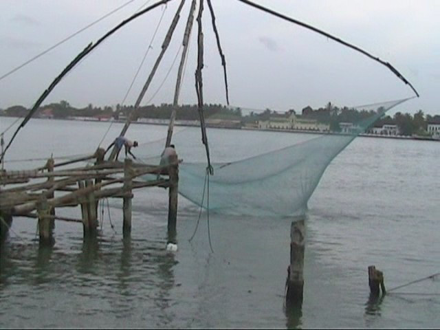 Kerala Chinese fishnets