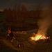 IMG 0768.CR2