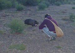 Tatiana and the wombat