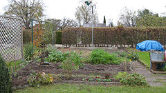 Herbst: Blick auf den Garten