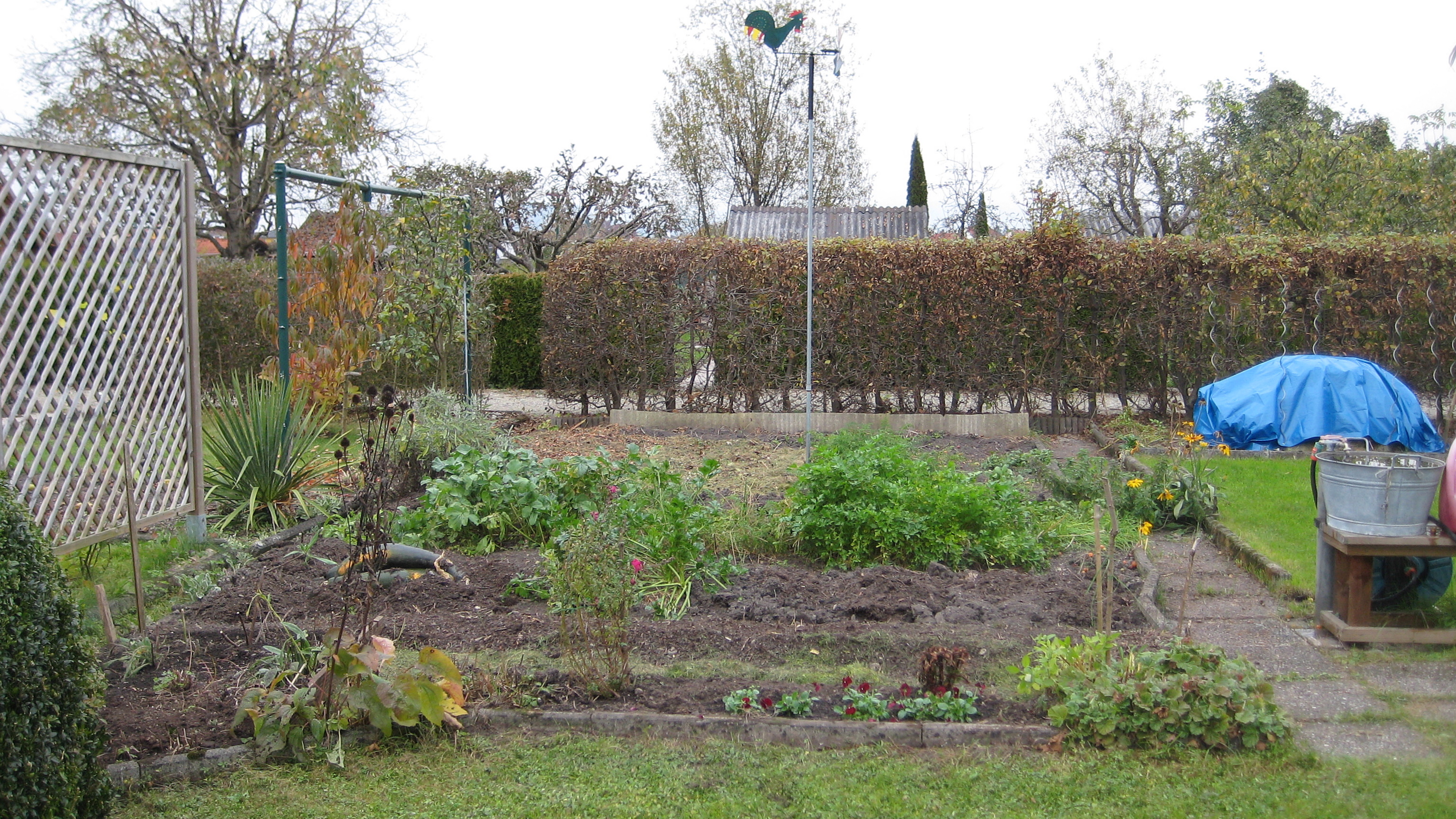 Herbst: Blick auf den Garten