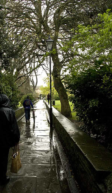 wet walk