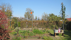 Herbst: Blick auf den Garten