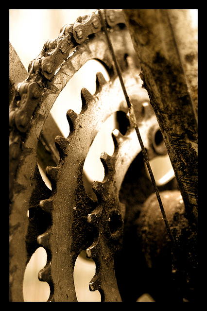 Cogs