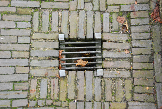 Drain cover