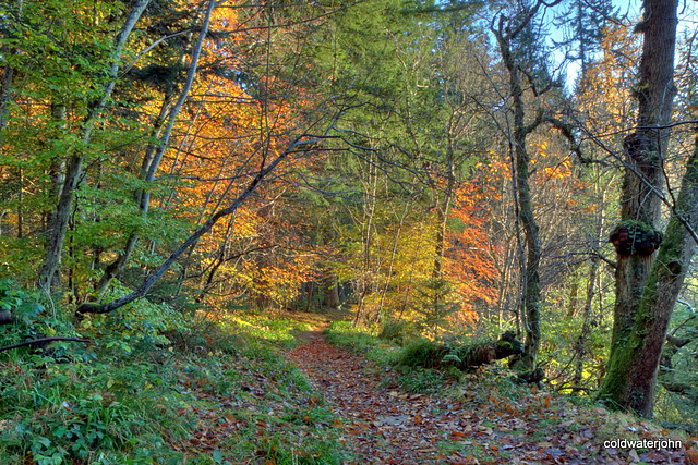 Path by the Findhorn - late autumn afternoon, moments before sunset