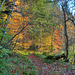 Path by the Findhorn - late autumn afternoon, moments before sunset