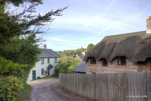 Lane in Winterborne Stickland, Dorset