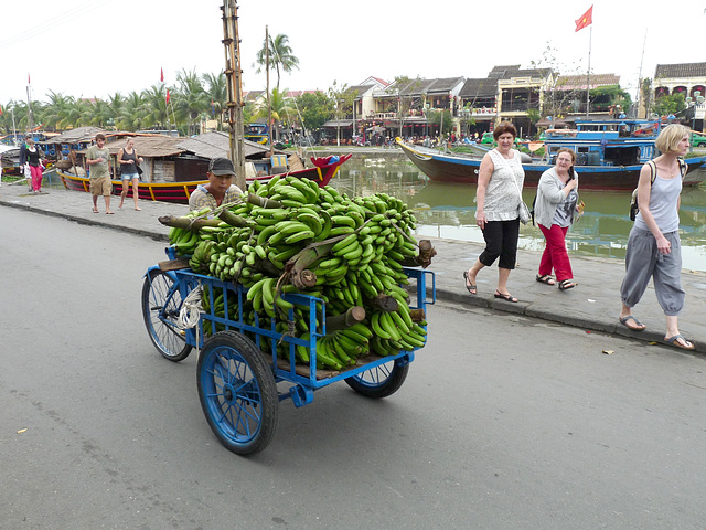 Bananas Galore!