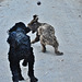 our doggies on the Rail Trail