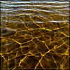 Sunshine Reflecting Off Silt in Shallow Water on Upper Klamath Lake