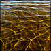 Sunshine Reflecting Off Silt in Shallow Water on Upper Klamath Lake