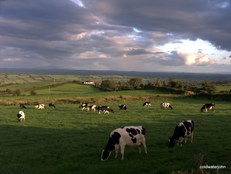 View south from Rosnacannanee