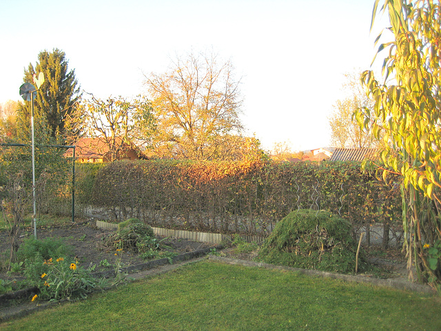 Herbst: Blick über den Garten