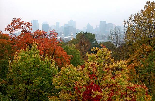 View of Montreal from Sainte-Hélène Island on a rainy day