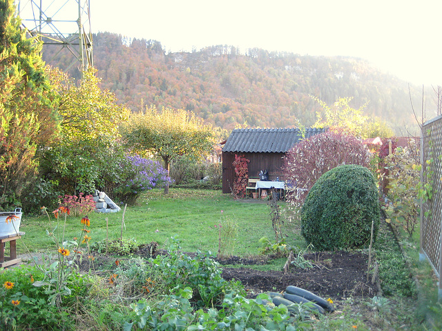 Herbst: Blick über den Garten