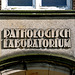 Some shots from around the new office: Lettering on the former Pathology Lab